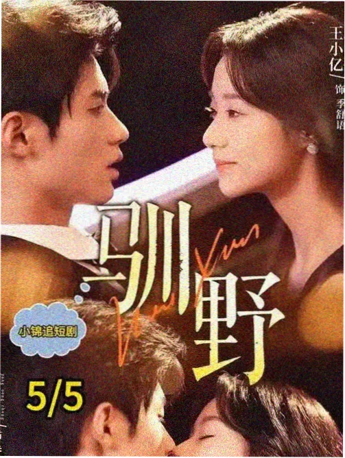 热播榜第五第九张明信片